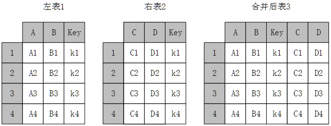 image-20240311125604188